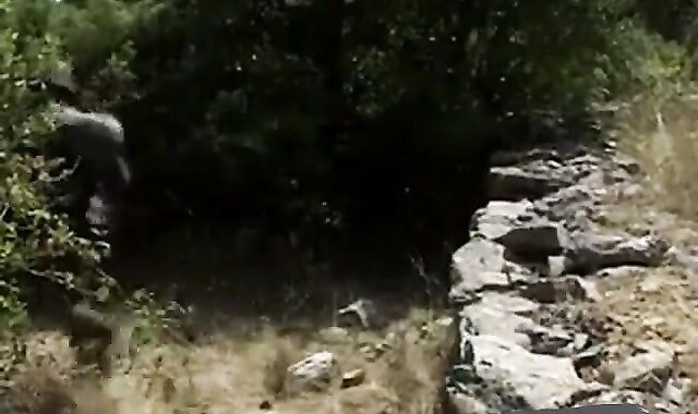 Big-Cock Military Blowjob