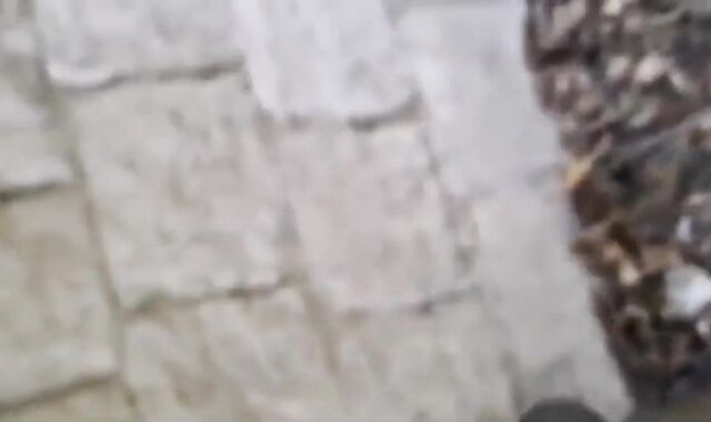 BBC black cock for enjoy