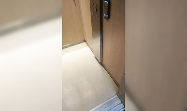 Michel Steuve Faggot Risky Exposure in Elevator