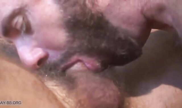 Pantheon: Real fellows Vol. 28 - Muscle And Fur