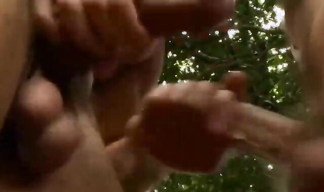 David Anthony And Davis (MITS P6)