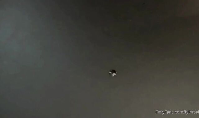 Ace Banner Massage stiffy