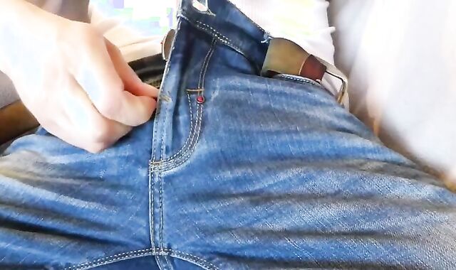 Hans Berlin electro-wand Fap