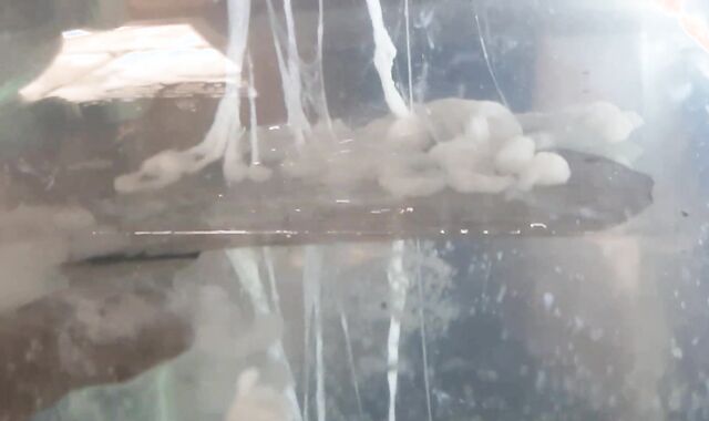 Russian boy powerfully jizzes cum into water