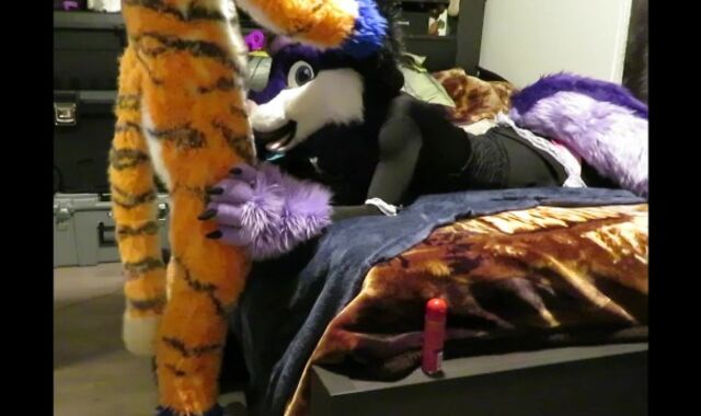 Servicing the Tiger Part One