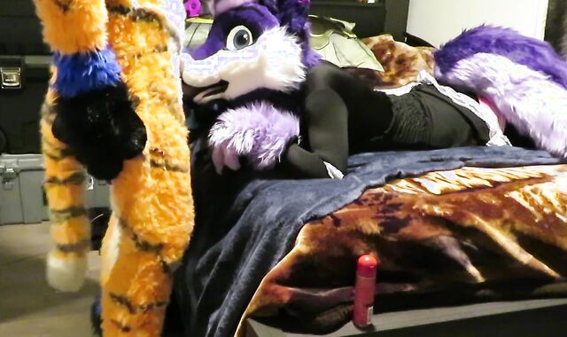 Servicing the Tiger Part One