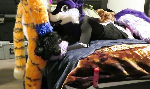 Servicing the Tiger Part One