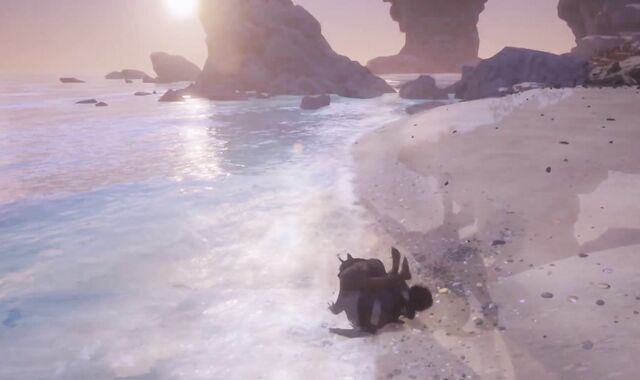 Fag Cub & Man Make Love by the Beach / Naughty Life Furries