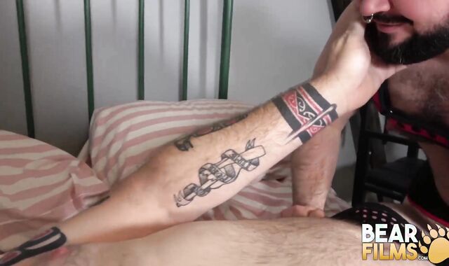 BEARFILMS Thick Fur Covered Furry Folks No Enjoy Mitten In Hardcore Compilation