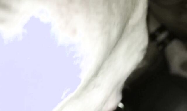 DAD AND SON-IN-LAW ROMPING WITHOUT A LOVE GLOVE ON THE SLING !!