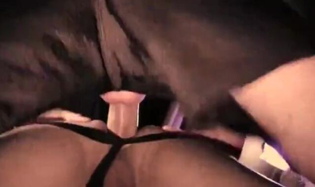 Michael, Jeremy, Colin and Brandon