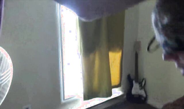 Roy's weekly routine