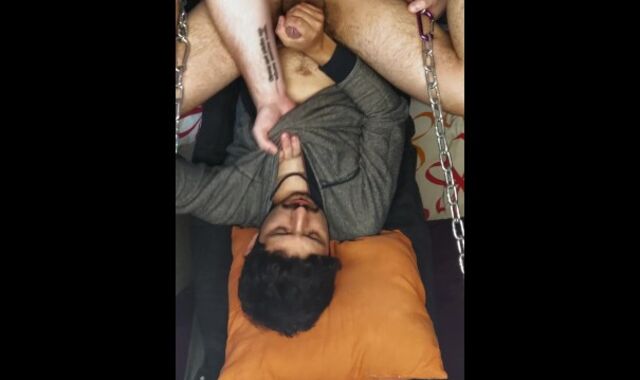 Colombian Gets Excellent Breeding In Homemade Sling