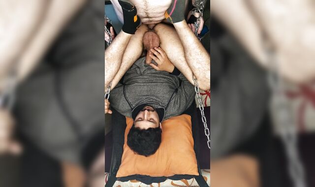 Colombian Gets Excellent Breeding In Homemade Sling