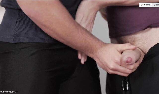 :: STAXUS :: Home Gym Paramours