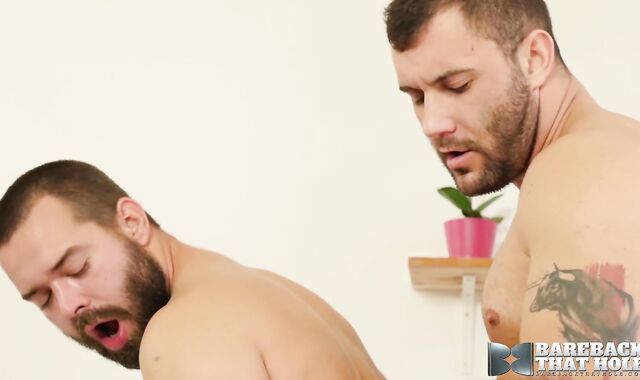 BAREBACKTHATHOLE Bearded Martin Dajnar Humid Bred By David Lee