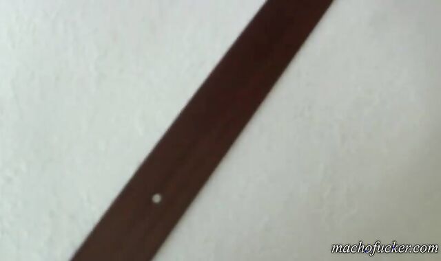 1 Manimal & His Pig! ?