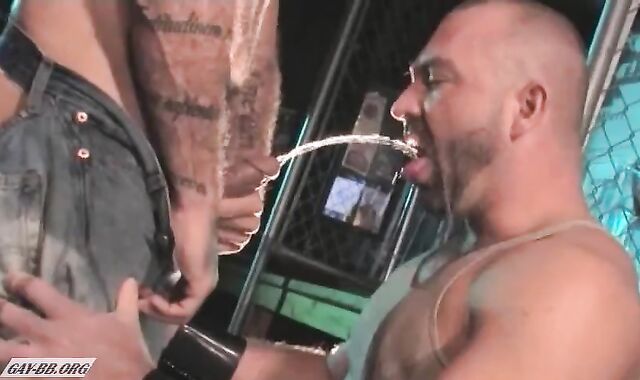 Mature has a sensitive spot for superb plowing