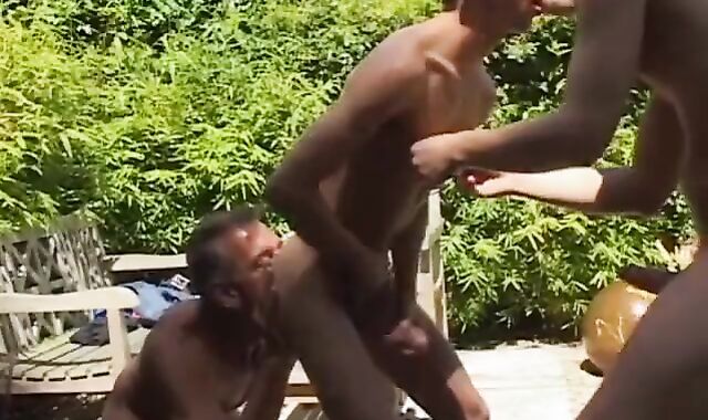 Jay Taylor, Tommy DeLuca And Tony Bishop (DH1 P1)