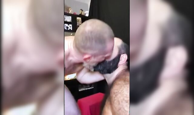 Camper Orso X Bearto - moist Romp, fotos And Sushis