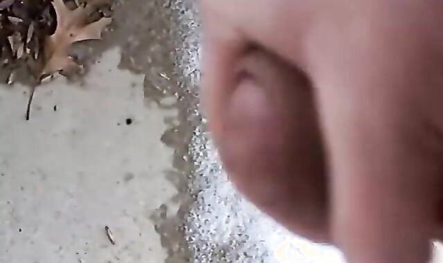 Bigdog2176 giant hirsute Teddy Antique pop-shot Bevy