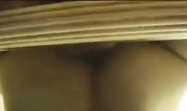 Parent Grizzly plumb B-y