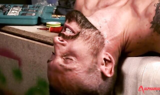 Bruno Fox And Nick North (HL P1)