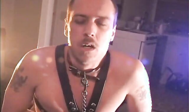 Daddies & Pigs Part two