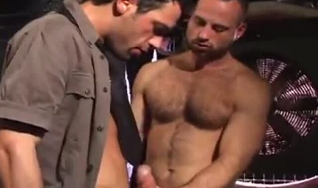 Cubs In The Guest room