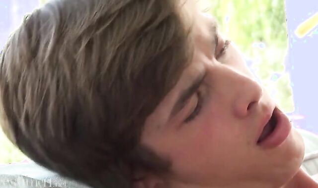 succulent strike 196