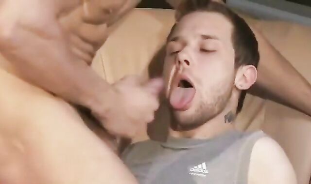 insatiable Barebackers