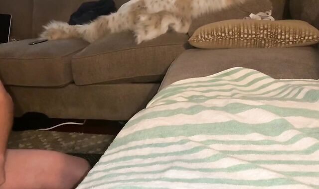 Messy Conversing Dad Gets Str8 Lad Poppered up and in his Gullet