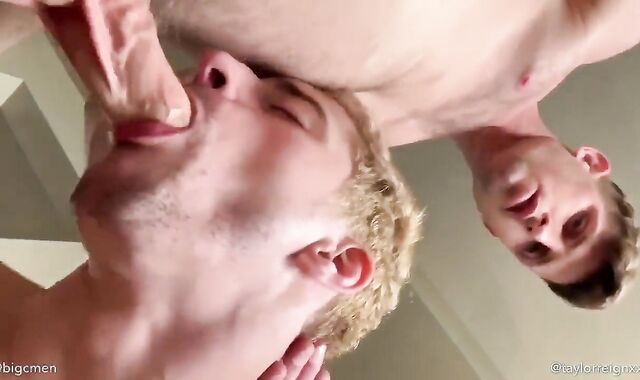 STEP DADDY AND STEP SONS-IN-LAW