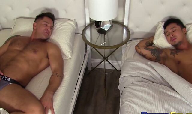 PETERFEVER Tatted Japanese Cub by Dominic Pacifico