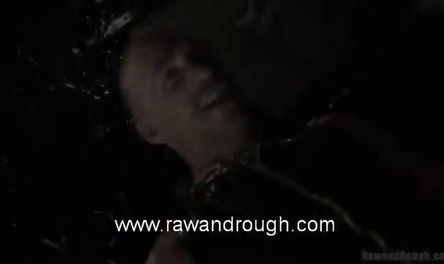 Pig Fellow Romps Jessy