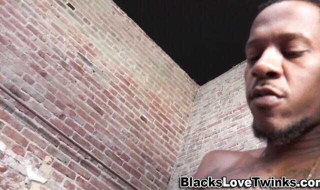 Homo lad faceholes and rails