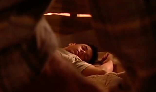 What he Caught Happening in the Barn (Platinum Fox)