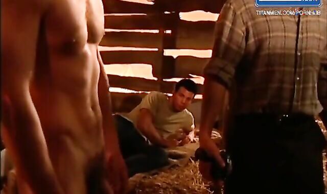 What he Caught Happening in the Barn (Platinum Fox)