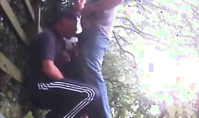 homosexual cruising ground