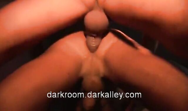 Gaytanamo Bay of Pigs