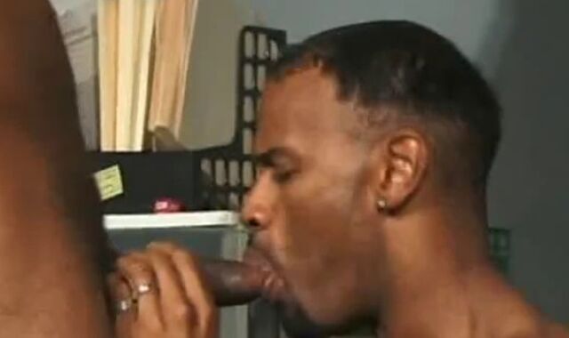 Knob Gobbling and No condom Shagging Dark-hued Guys