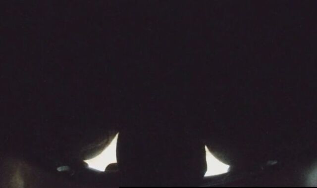 REAL TOILETS SPY CAMERA