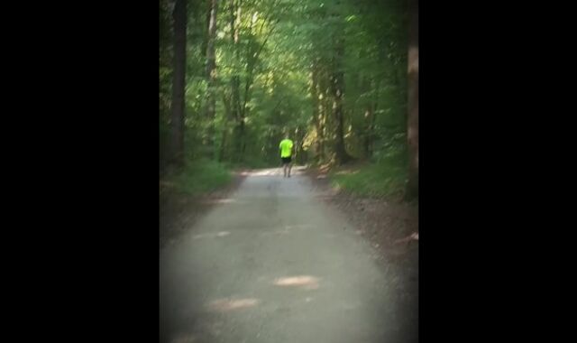 I'm ambling thru the forest...looking for a place to do a hj !