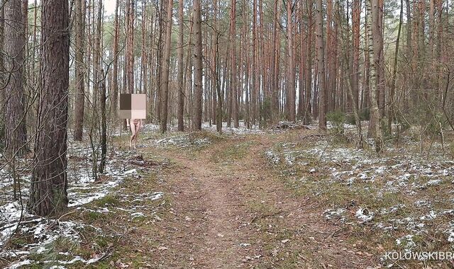 Deviant Exhibitionist: Ambling Thru the Forest in Winter (Smallish Cock) - KolowskiBRO