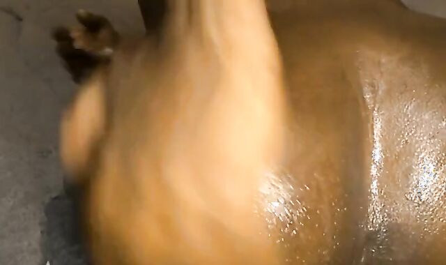 AFRICAN GUY PULSATING BROWN-EYE