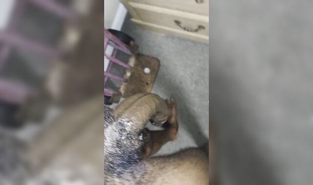 MONEY-SHOT... AND A SUPER-HOT SLANGING JIZZ-SHOTGUN