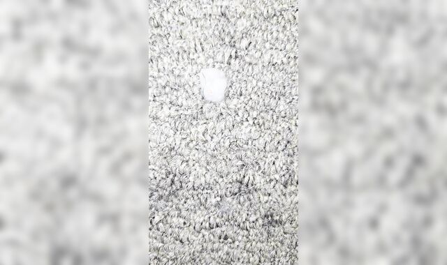 MONEY-SHOT... AND A SUPER-HOT SLANGING JIZZ-SHOTGUN