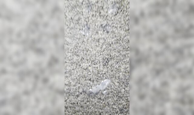 MONEY-SHOT... AND A SUPER-HOT SLANGING JIZZ-SHOTGUN