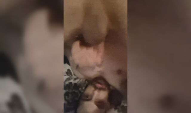 Frolicking with my glorious booty befor i got so nasty that I oral my own rod all over my face and gullet