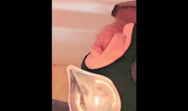 Jizz Ladle at the Gloryhole – Schoolgirl Gives Me His Explosion